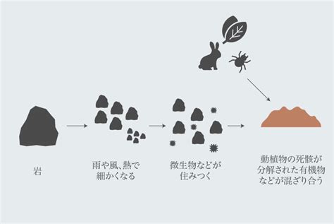 木剋土 意味|木剋土とは？ わかりやすく解説